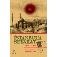 İstanbul'a seyahat